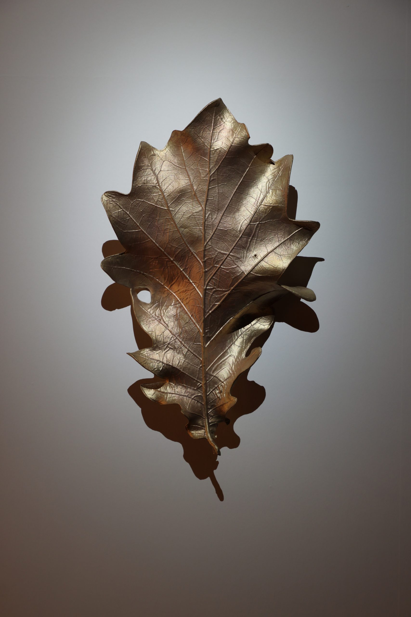 OHMAKI Shinji, Oak leaf -the Given-(Right), 2023Long-term loan from SEINAN CorporationPhoto: Keizo Kioku